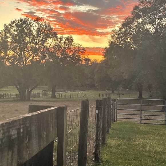 Meet your Posher, Victoria - Picture 7 of 16